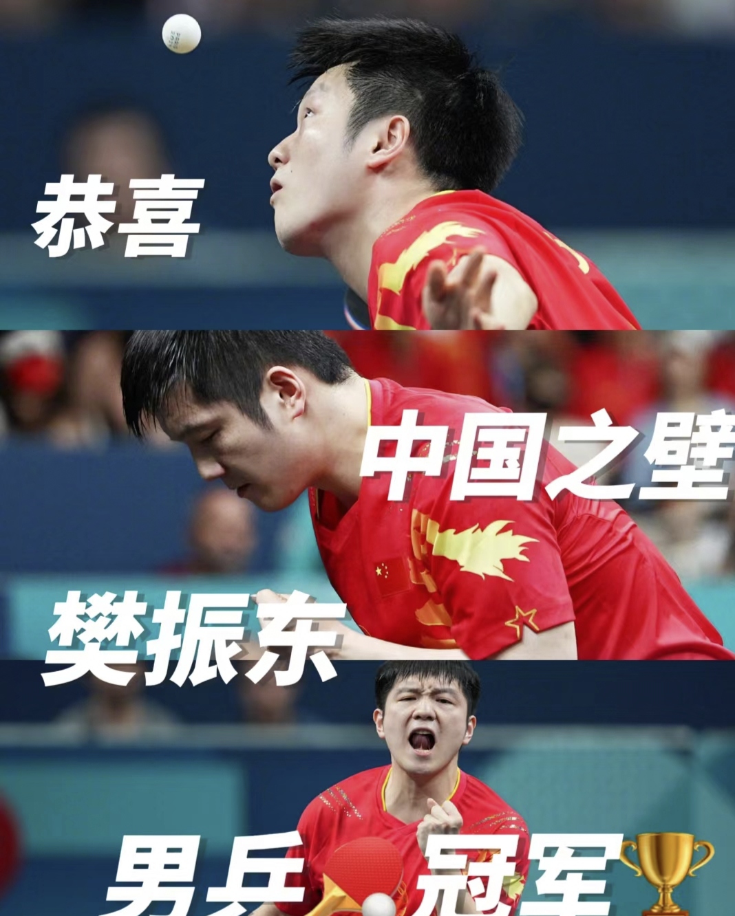 奥地利乒乓球队完胜瑞典乒乓球队，樊振东统治全场