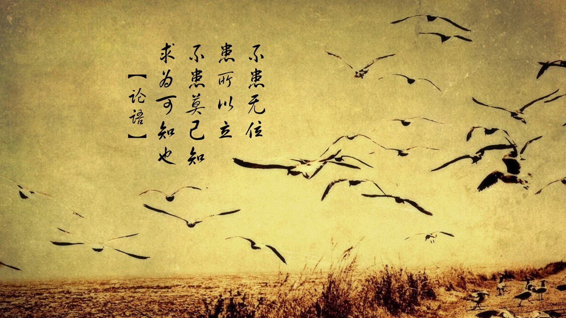 雷霆制霸辽宁队，美加墨世界杯焦点战的战术启示