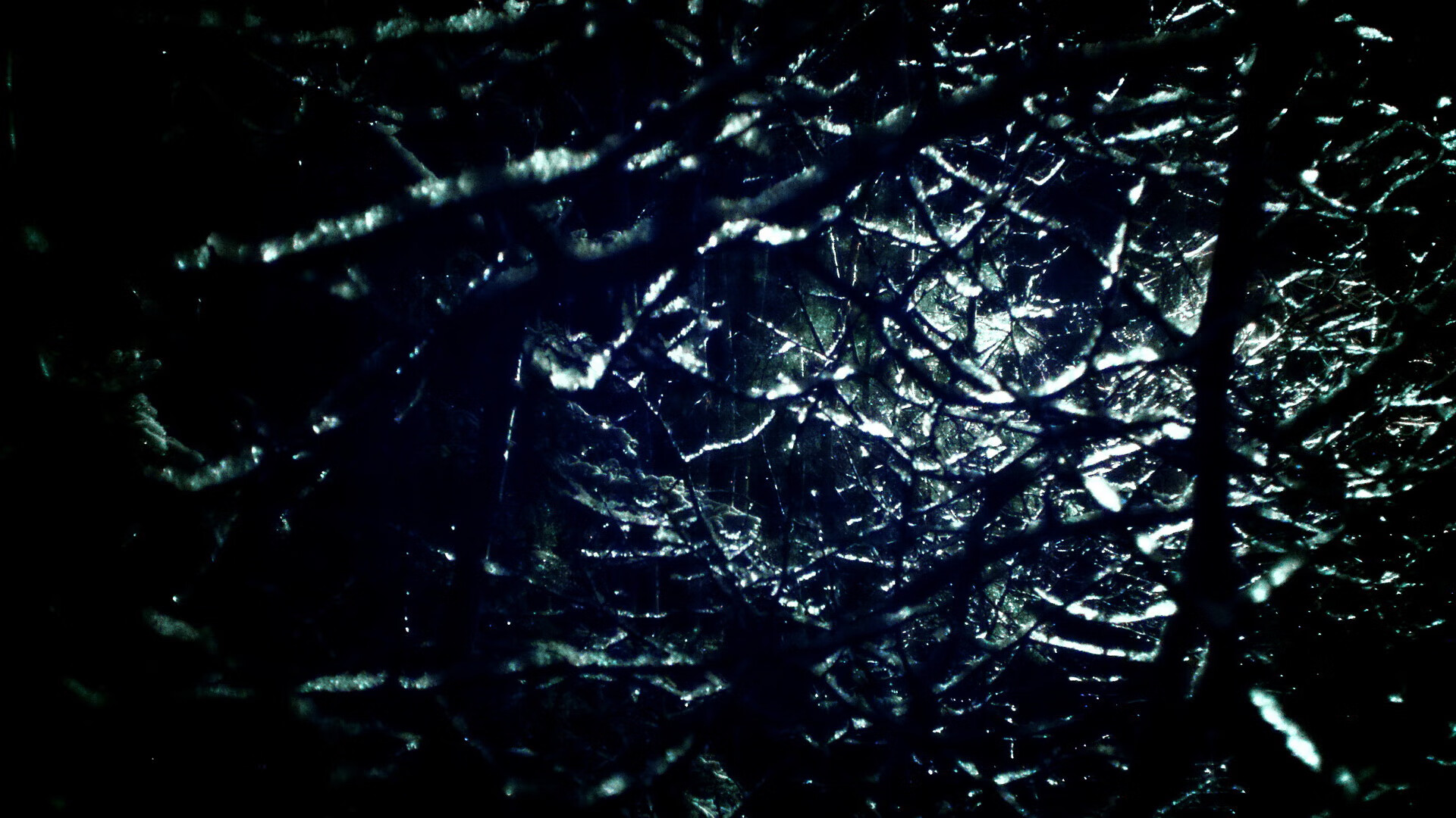 双城记，布克德甲封神夜，北京男篮终结辽宁王朝