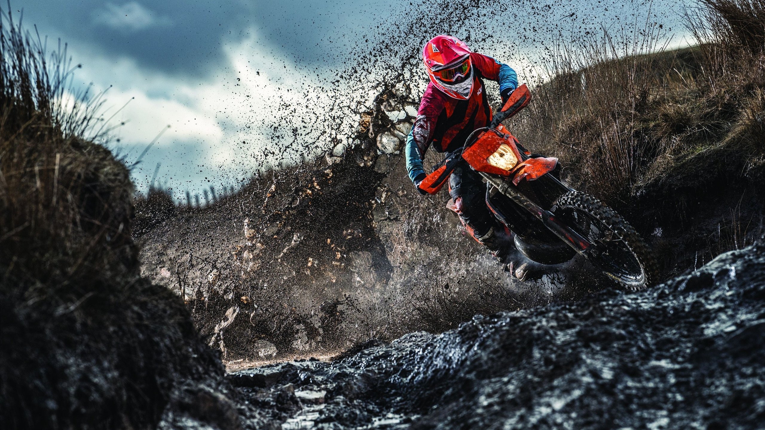 世界排名争夺战焦点战，灰熊打穿湖人，西部格局再起波澜